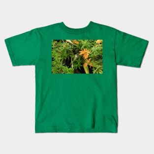 Hummingbird, Wildlife, Nature, gifts Kids T-Shirt